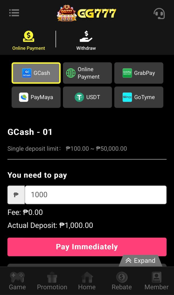 🎇 Step 2: Players should fill in the amount they want to pay.